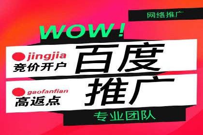 深度解析：百度竞价代理的优化策略与成功案例