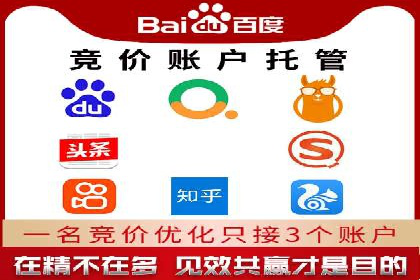 SEM托管代运营案例解析：ROI大幅提升的秘诀